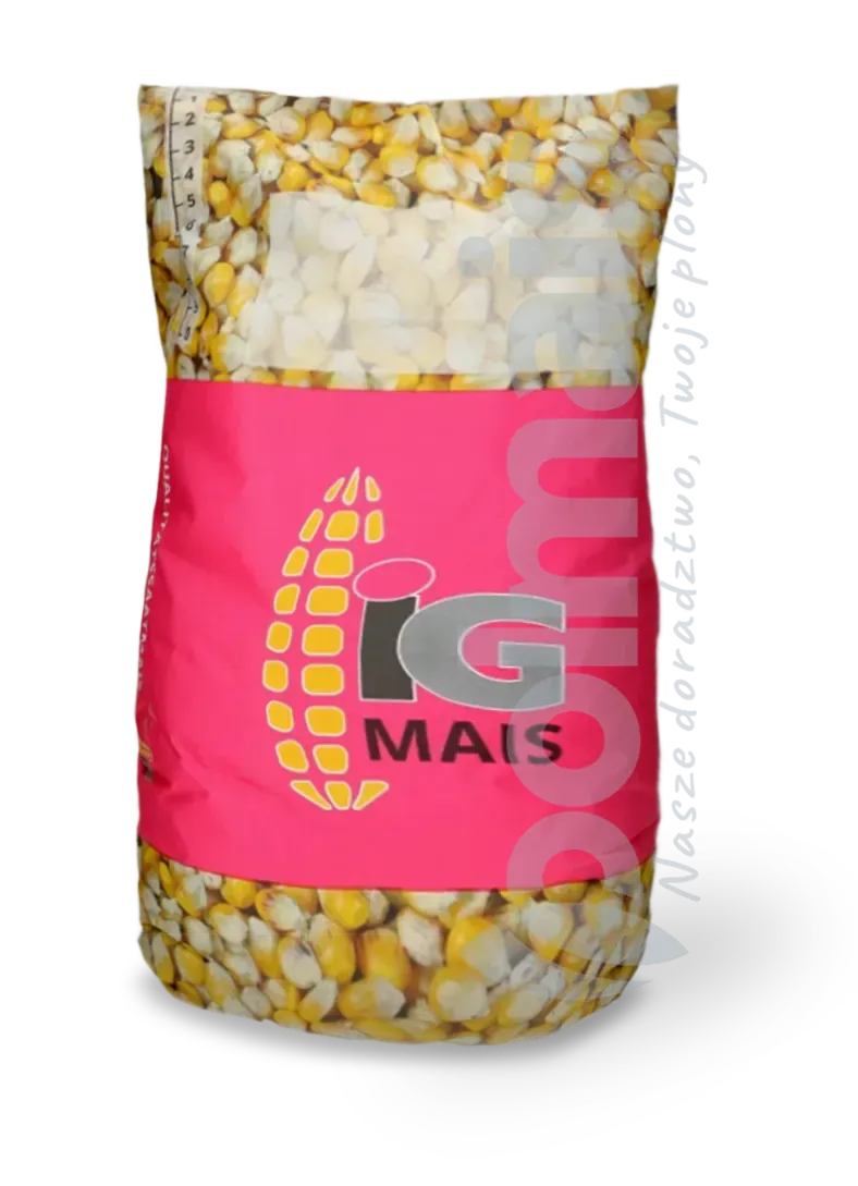 Jamzaprawa fungicydowa