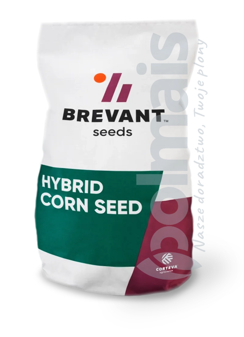 P8742zaprawa fungicydowa