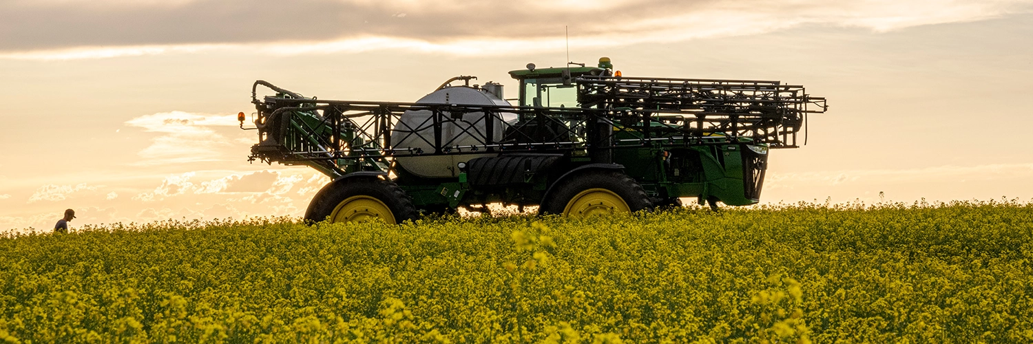 nasiona rzepaku sm bolt obraz intro