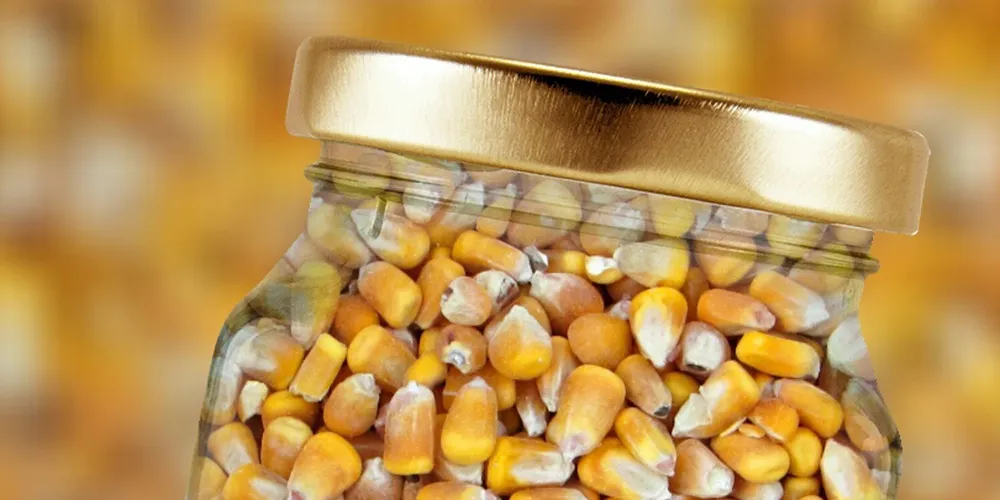 kukurydza chutney wysokiej jakości ziarno na grys