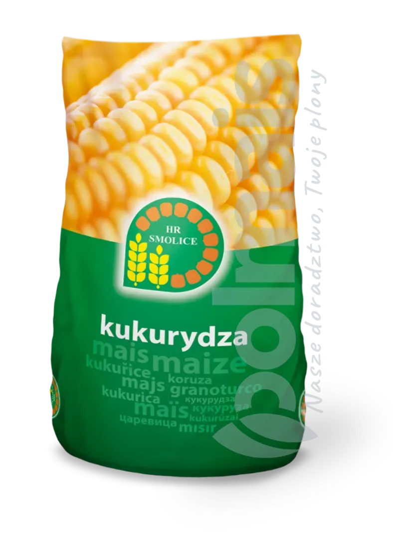 SM Wawelzaprawa fungicydowa